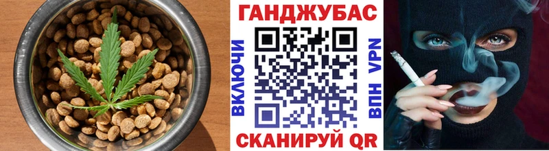 mega сайт  Чистополь  Canna-Cookies конопля  даркнет сайт 