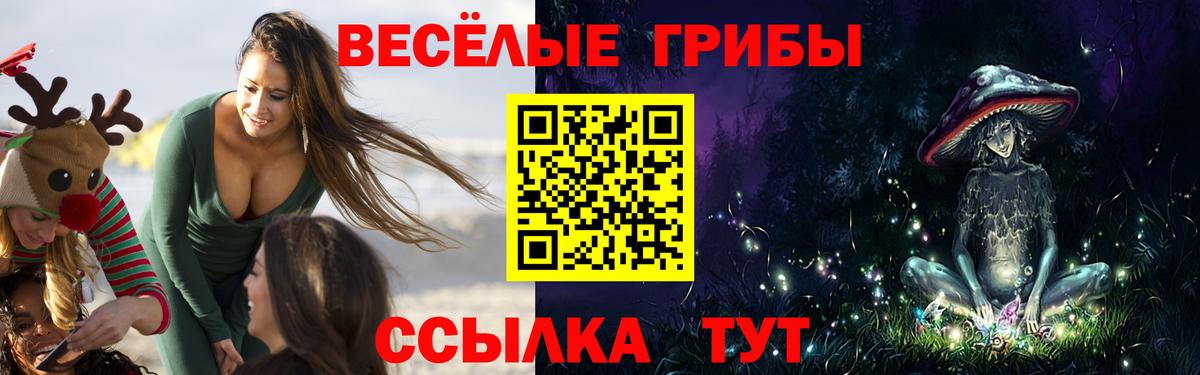 Псилоцибиновые грибы Magic Shrooms Чистополь
